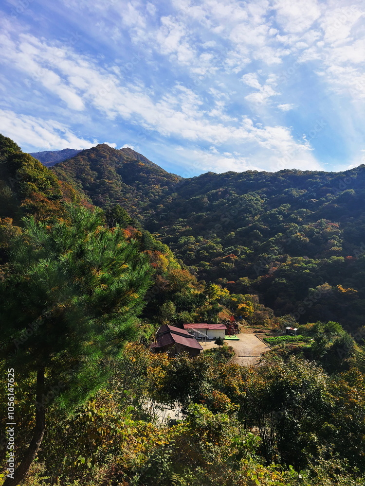 Fototapeta premium 대한민국 가을 등산의 너무 이쁜 풍경들