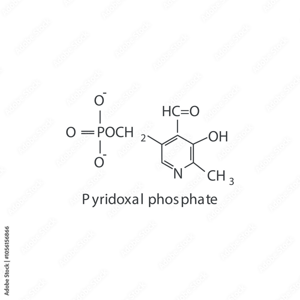 Pyridoxal phosphate skeletal structure diagram.Vitamin B6 compound molecule scientific illustration. Pyridoxal phosphate skeletal structure diagram.Vitamin B6 compound molecule scientific illustration.