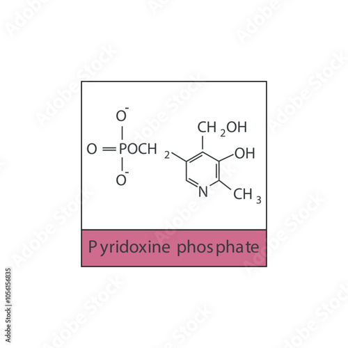 Pyridoxine phosphate skeletal structure diagram.Vitamin B6 compound molecule scientific illustration.