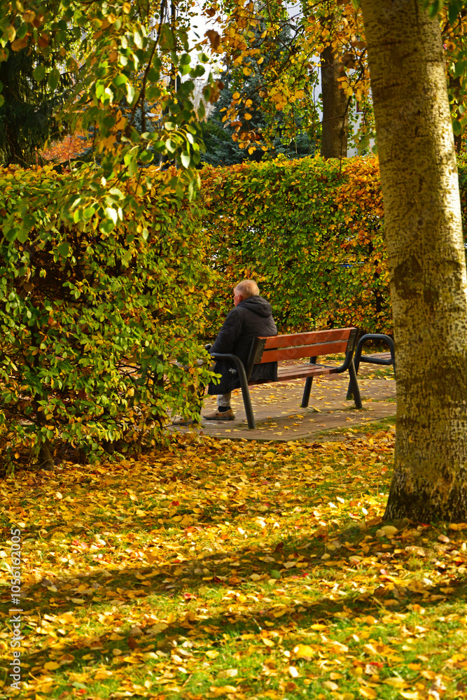 samotny mężczyzna na ławce w jesiennym parku, park jesienią, złota, polska jesień, kolorowe, jesienne liście, lonely man on a bench in an autumn park, golden polish autumn