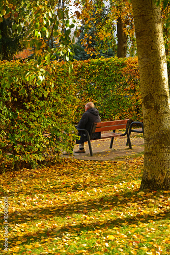 Obraz na płótnie samotny mężczyzna na ławce w jesiennym parku, park jesienią, złota, polska jesień, kolorowe, jesienne liście, lonely man on a bench in an autumn park, golden polish autumn w salonie