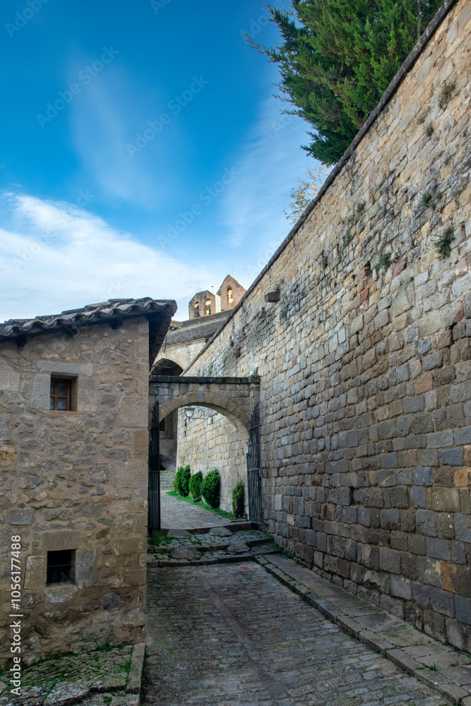 Camino medieval Camino medieval