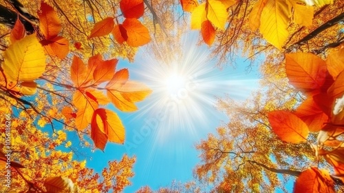 Looking up at autumn treetops glowing in sunlight, blue sky peeking through colorful leaves photo