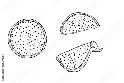 Aromatic juicy pitahaya slices with pulp hand drawn vector illustration painted by black inks. Exotic dragon fruit etching drawing set for tropical decor, recipe and menu design