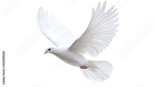 A white dove is flying against a white background.