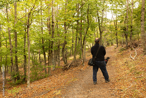 Hombre paseando con su perro por hayedo. photo