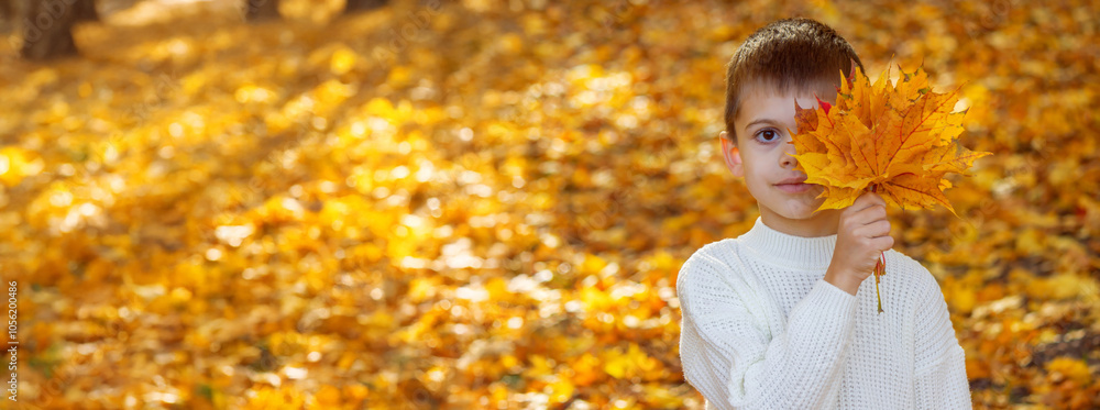 Happy boy in autumn park. Autumn. Happy boy in autumn park. Autumn.