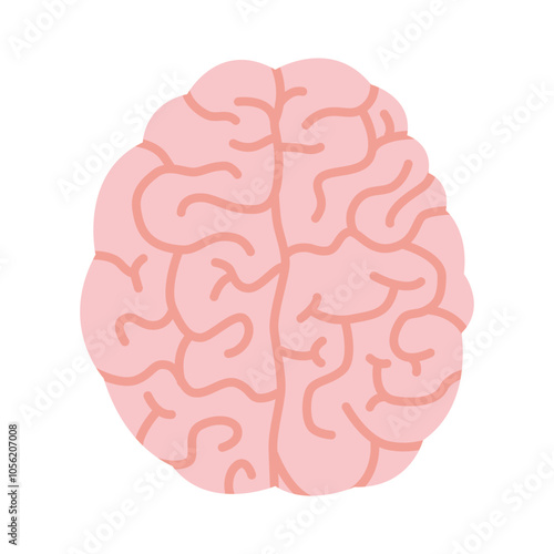 Human brain, two hemispheres, top view. Vector illustration isolated on white background, hand drawn, flat design