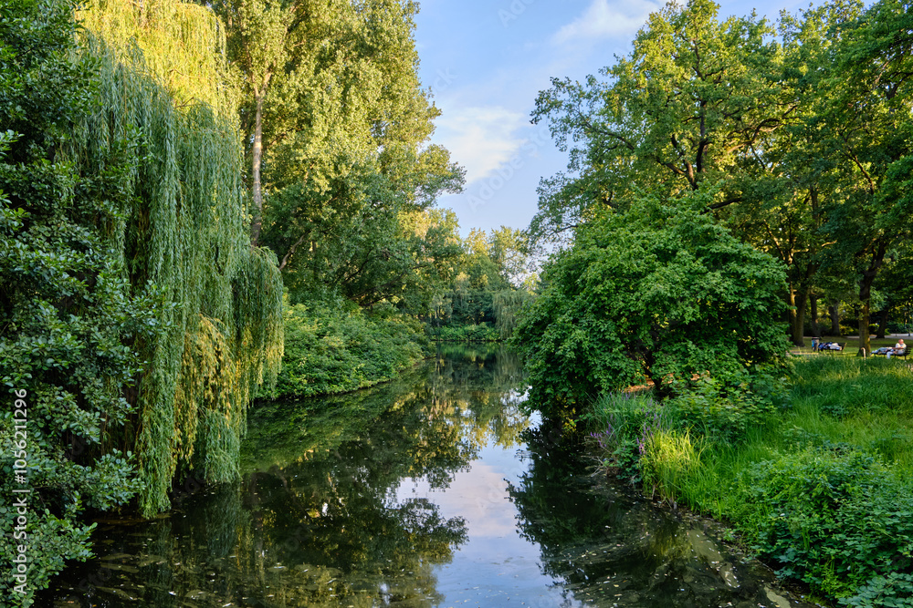 19 August 2024 Berlin (Germany) - August: Footpath in the Tiergarten public park 19 August 2024 Berlin (Germany) - August: Footpath in the Tiergarten public park