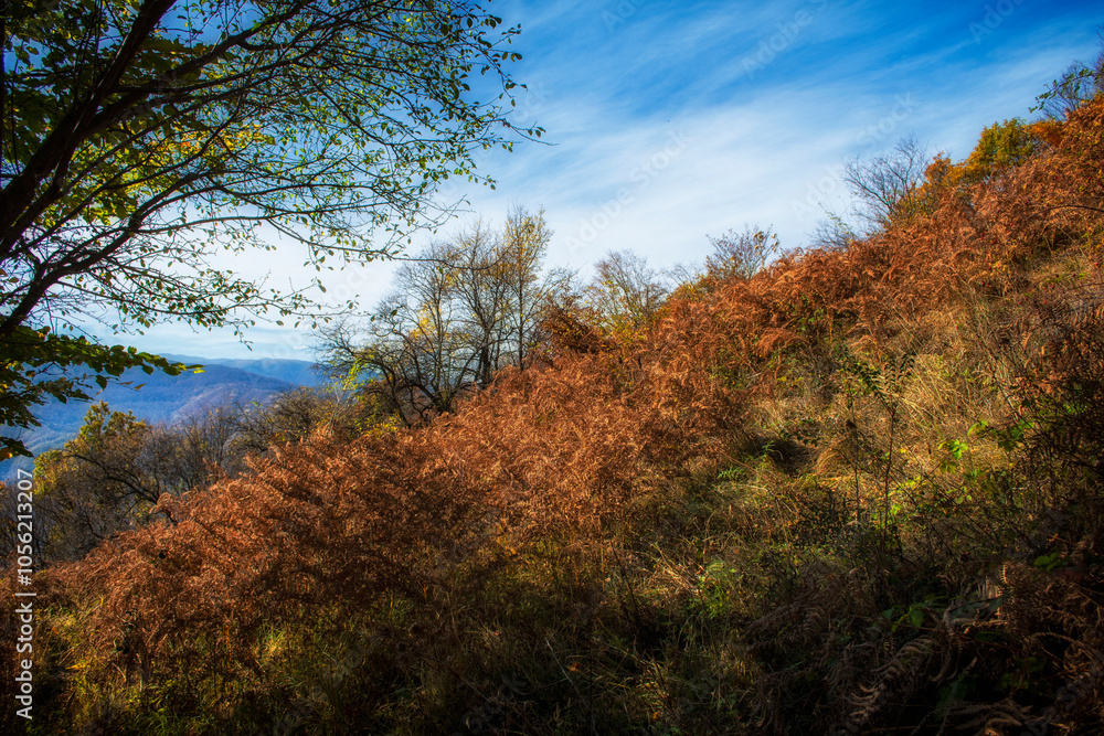 Mountain landscape in autumn. Beautiful colors of the leaves, trees and bushes. A path that leads between the forest оn mountain Kitka near the city of Skopje, Macedonia. Mountain landscape in autumn. Beautiful colors of the leaves, trees and bushes. A path that leads between the forest оn mountain Kitka near the city of Skopje, Macedonia.