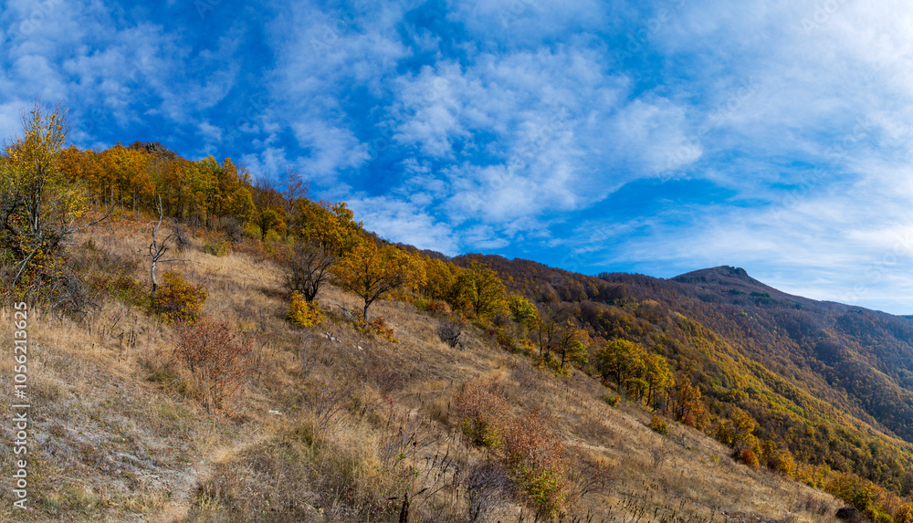 Mountain landscape in autumn. Beautiful colors of the leaves, trees and bushes. A path that leads between the forest оn mountain Kitka near the city of Skopje, Macedonia. Mountain landscape in autumn. Beautiful colors of the leaves, trees and bushes. A path that leads between the forest оn mountain Kitka near the city of Skopje, Macedonia.