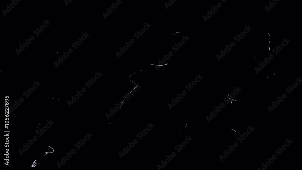 Small white scratches on the black screen. Stock retro film scratch effect in 4K. Stock clip with nostalgic retro effect for overlay. Small white scratches on the black screen. Stock retro film scratch effect in 4K. Stock clip with nostalgic retro effect for overlay.
