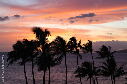 Maui Sunset