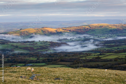 Morning mist, or dragon's breath as they say in Wales, in the lower regions of Carmarthenshire in South Wales.
 photo