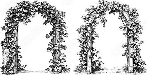 Vintage Vector Set of Ivy Trimmed Arch and Frame Designs with Pillars. Antique Engraving.
