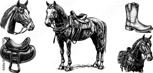 Vintage Vector Illustration Set of Horses. Hand-Drawn Sketches Featuring Saddles, Horseshoes, and Equestrian Gear.