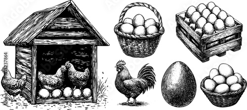 Vintage Vector Sketch Set of Chickens and Hens in a Coop. Hand Drawn Illustrations Featuring  Eggs in Box and Basket.