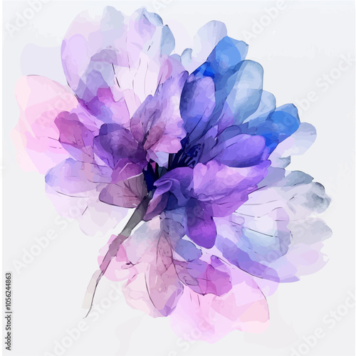 hand-drawn Watercolor bunch of lavender flowers. Isolated eco-natural herbs illustration on white background, vector illustration, lavender petal, lavender close-up branch, vector illustration.