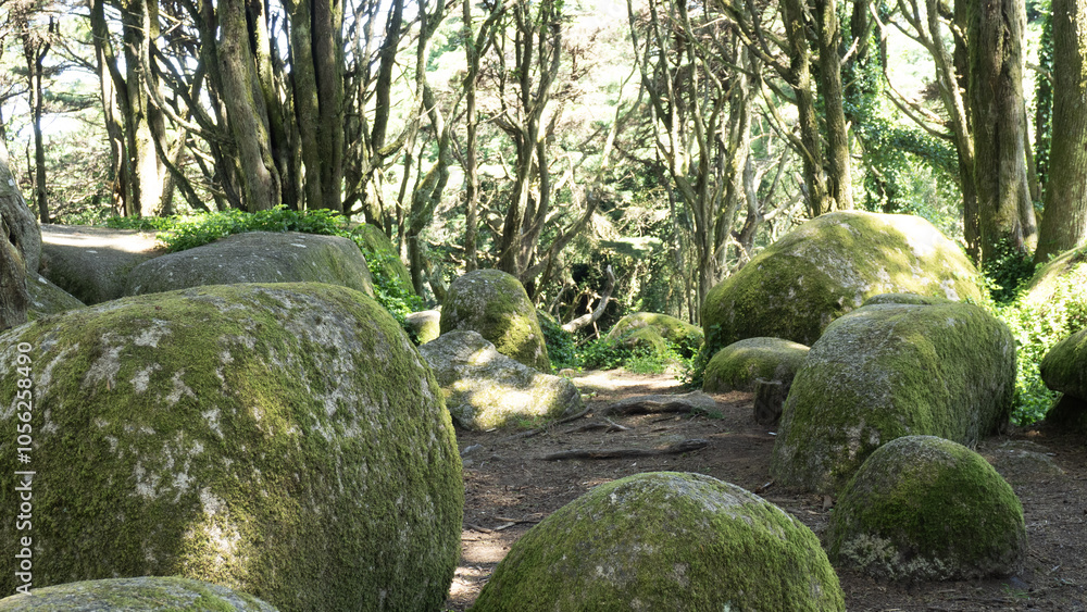 Stones with moss