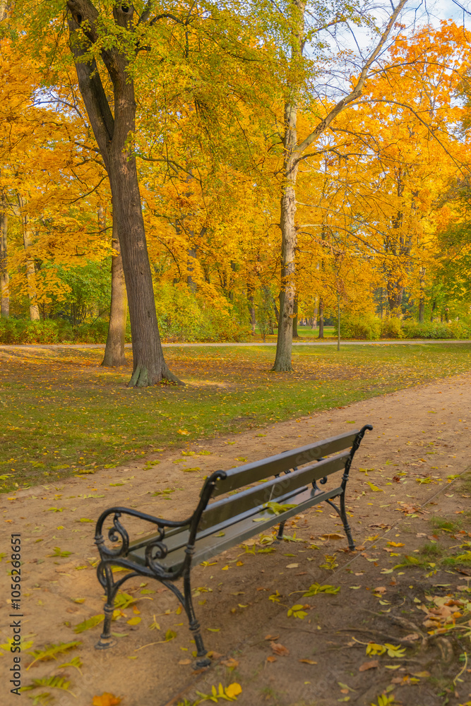 Poland capital city Warsaw Royal Lazienki Park trees decorated with autumn colors and leaves and flowers with detail shots Poland capital city Warsaw Royal Lazienki Park trees decorated with autumn colors and leaves and flowers with detail shots