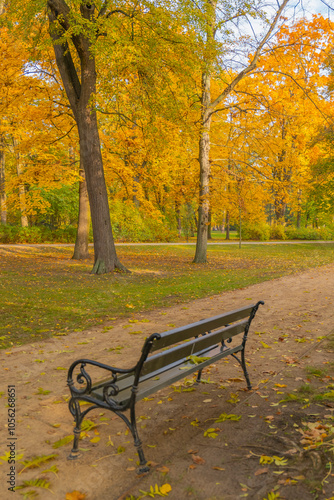 Poland capital city Warsaw Royal Lazienki Park trees decorated with autumn colors and leaves and flowers with detail shots photo