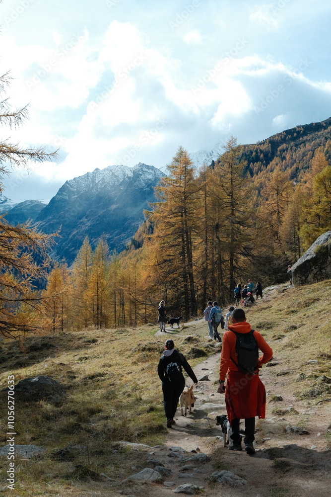 Fototapeta premium hiking in the mountains
