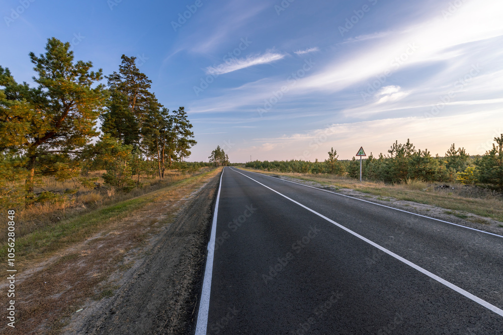 Fototapeta premium A road with a few trees in the background