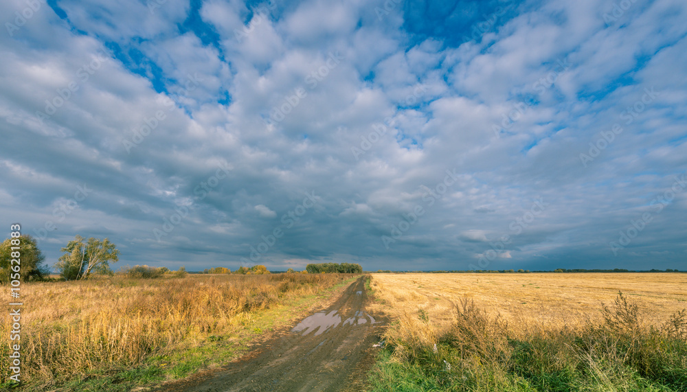 A road in a field with a cloudy sky in the background A road in a field with a cloudy sky in the background