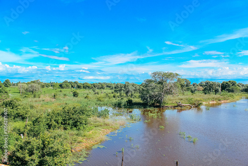 pantanal