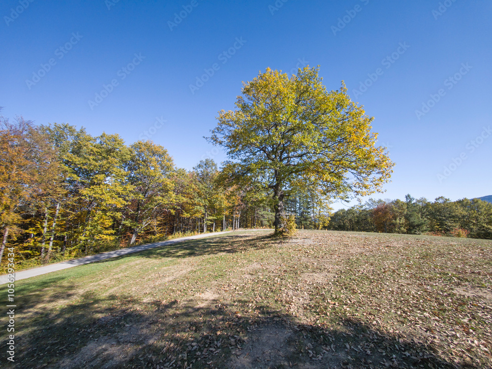 Naklejka premium Autumn view of Plana Mountain, Bulgaria
