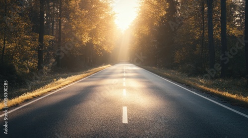 A road with a white line down the middle. The road is empty. The sun is shining on the road