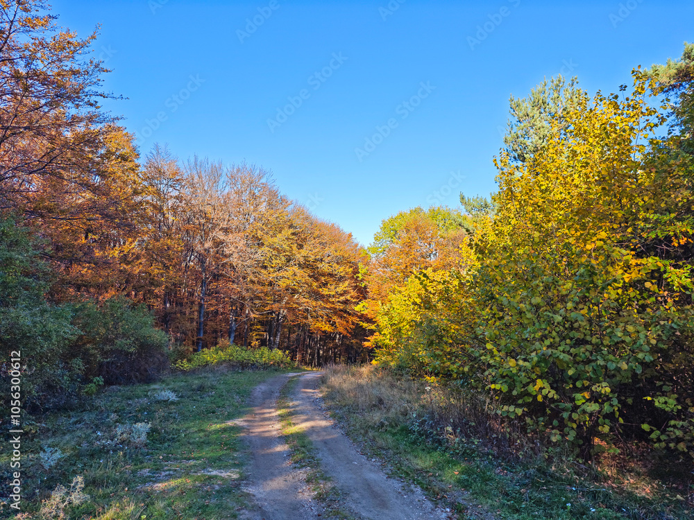 Fototapeta premium Autumn view of Plana Mountain, Bulgaria