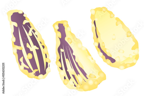 美味しそうなナスの天ぷらイラストセット