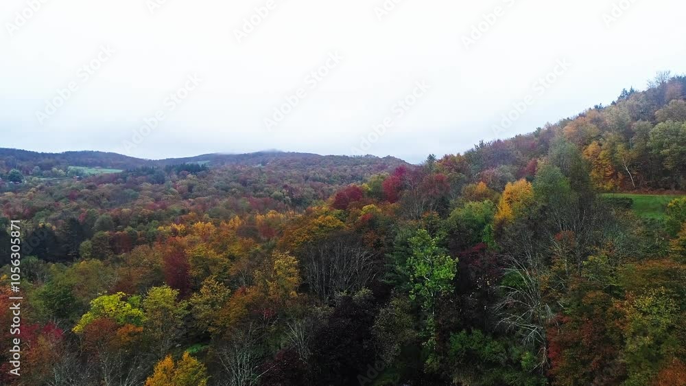 Aerial of fall foliage in the Catskill Mountains in Sullivan county, NY, USA Aerial of fall foliage in the Catskill Mountains in Sullivan county, NY, USA