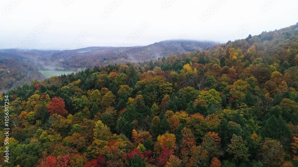 Aerial of fall foliage in the Catskill Mountains in Sullivan county, NY, USA Aerial of fall foliage in the Catskill Mountains in Sullivan county, NY, USA