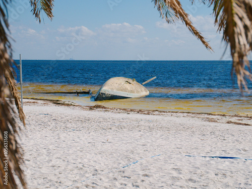 Framed by Palm Fronds Sailboat turned upside down on beach. After storm surge from Hurricane Helene. North Shore Park in St. Petersburg, Florida. View out to Tampa Bay. Sand and sea weeds. Blue Skies  photo