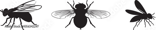 Silhouette of a fly buzzing around, vector silhouette