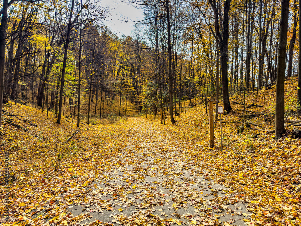 Colors of autumn in 2024. Amazing views of vibrant fall colors in Canada as seen by the naked eye and taken via iphone15 pro max. Colors of autumn in 2024. Amazing views of vibrant fall colors in Canada as seen by the naked eye and taken via iphone15 pro max.
