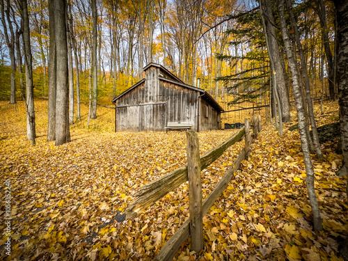 Colors of autumn in 2024. Amazing views of  vibrant fall colors in Canada as seen by the naked eye and taken via iphone15 pro max. photo