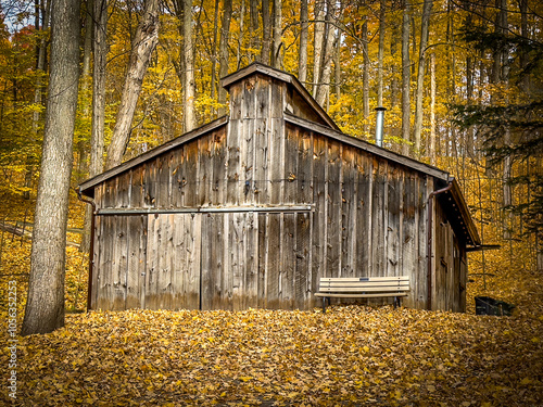 Colors of autumn in 2024. Amazing views of  vibrant fall colors in Canada as seen by the naked eye and taken via iphone15 pro max. photo