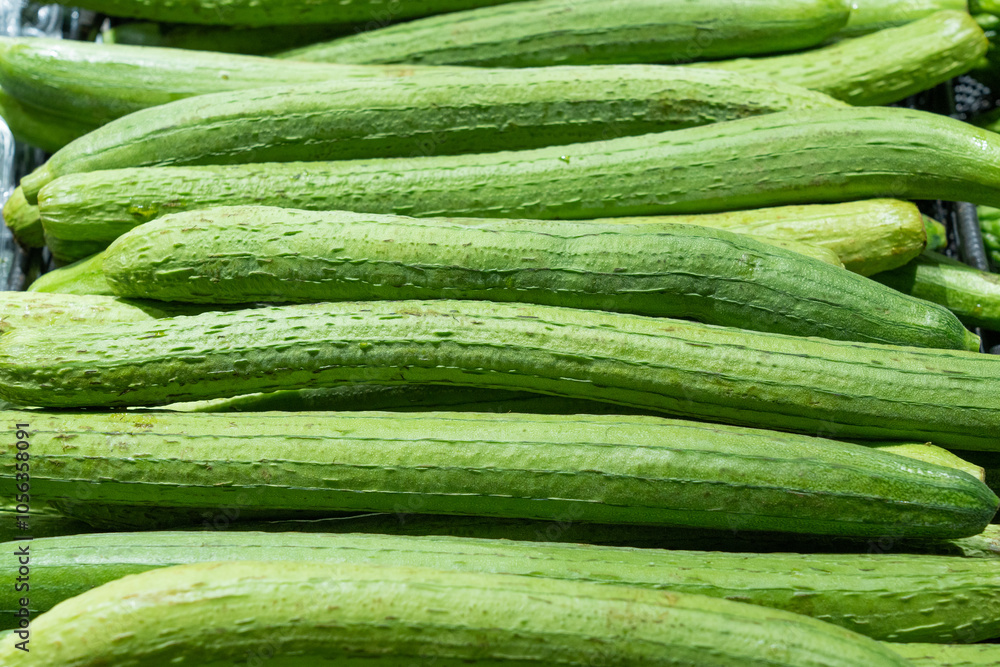Fresh green sponge gourd or luffa in the market. Fresh green sponge gourd or luffa in the market.
