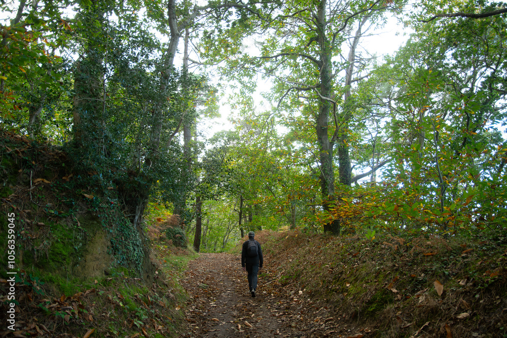 Randonneur sur le GR34 près de Lannion en Bretagne Randonneur sur le GR34 près de Lannion en Bretagne