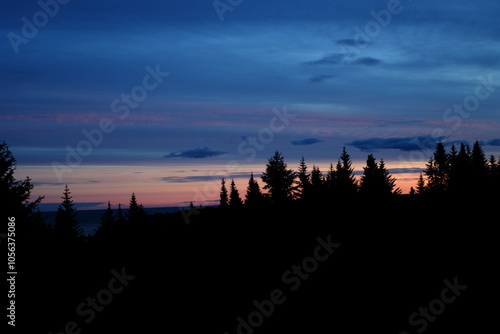 Sunset over trees