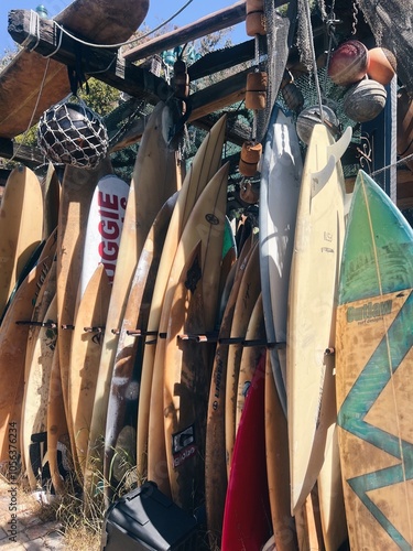 Rustic Surf Shop photo