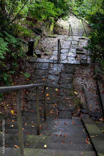 鎌倉2410　光則寺33　石段 photo