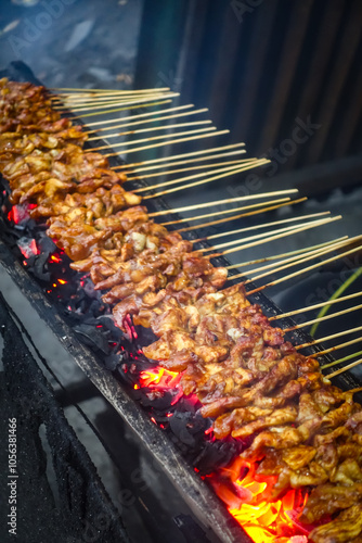 grilled meat on the grill