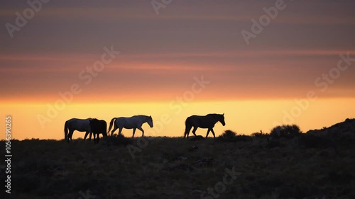 Wallpaper Mural Wild horse walking on the horizon silhouetted against a colorful sunset in the Utah desert. Torontodigital.ca