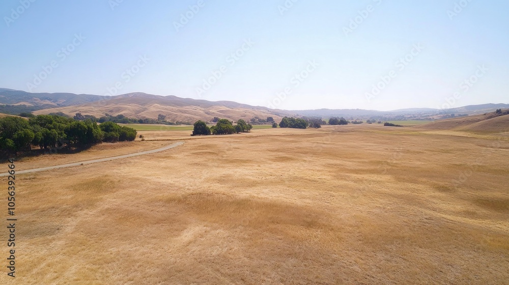 Obraz premium An open land investment opportunity with rolling terrain, a clear horizon, and minimal vegetation, reflecting possibilities for future projects.