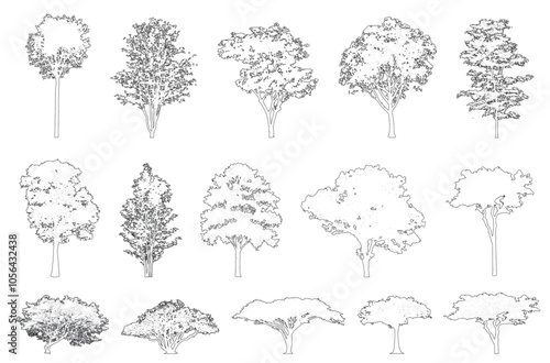 Minimal style cad tree line, Side view, set of graphics trees elements outline symbol for architecture and landscape design drawing. Vector illustration in stroke fill in white. Tropical