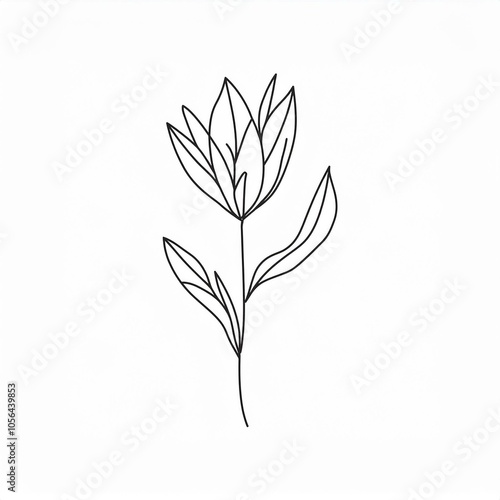 hand drawn floral flower outline black illustration isolated on white